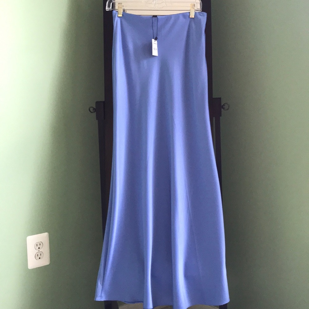 Brand New Express Maxi Skirt